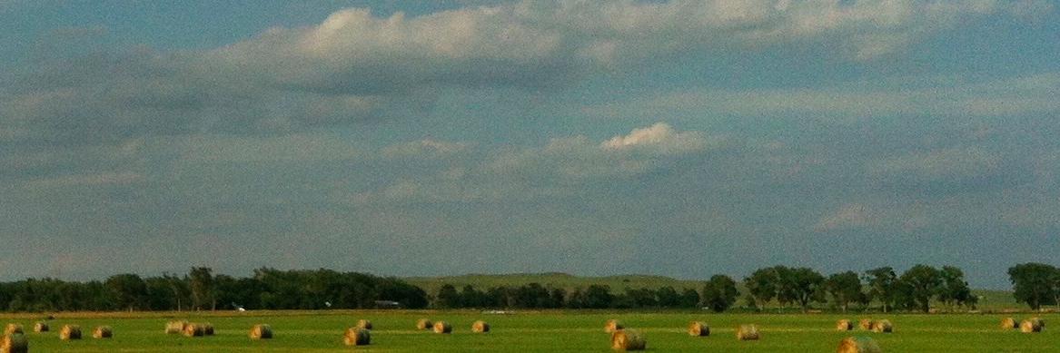 830Nebraska's profile banner image