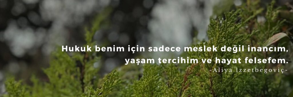 Arzu Akalın Dizdar banner