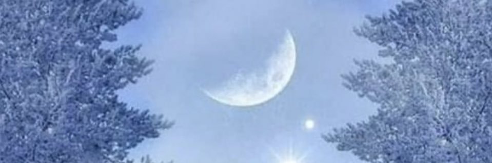 cricri110251's profile banner image