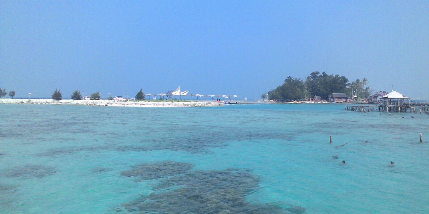chrysantputih's profile banner image