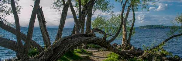Bobby_L_F's profile banner image