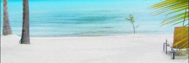 ADHAYES11's profile banner image