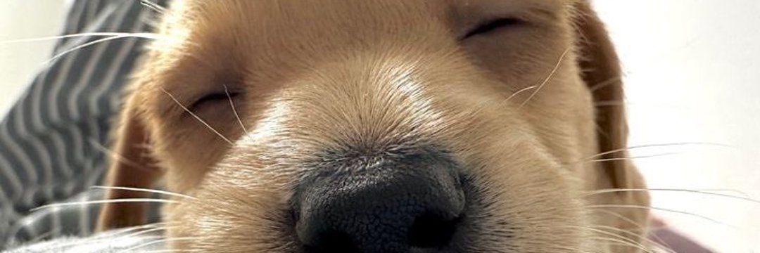 EdeEder_'s profile banner image