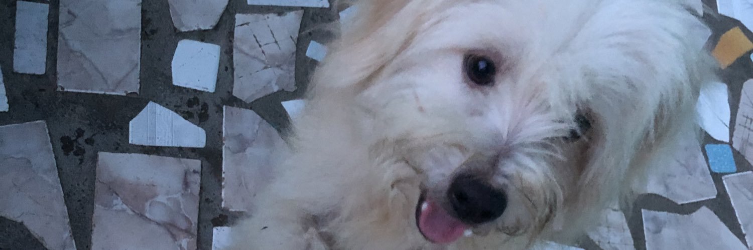 GelzW's profile banner image