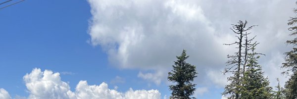 bartikadutta2 Profile Banner