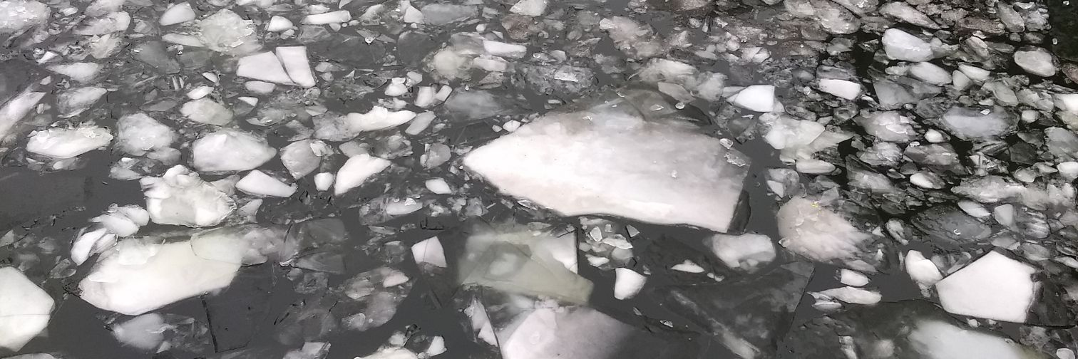 Jennifer Petersen banner