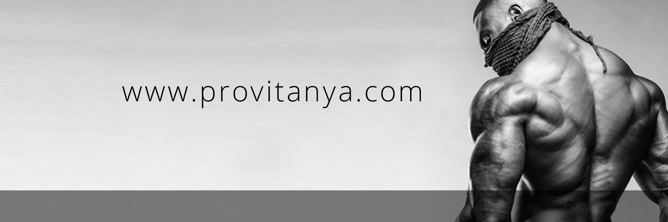 provitanyacom's profile banner image
