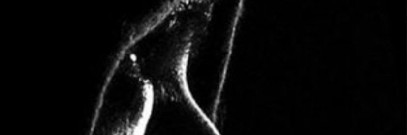 xsalem99's profile banner image