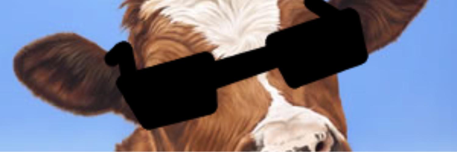 TheCampinRush's profile banner image