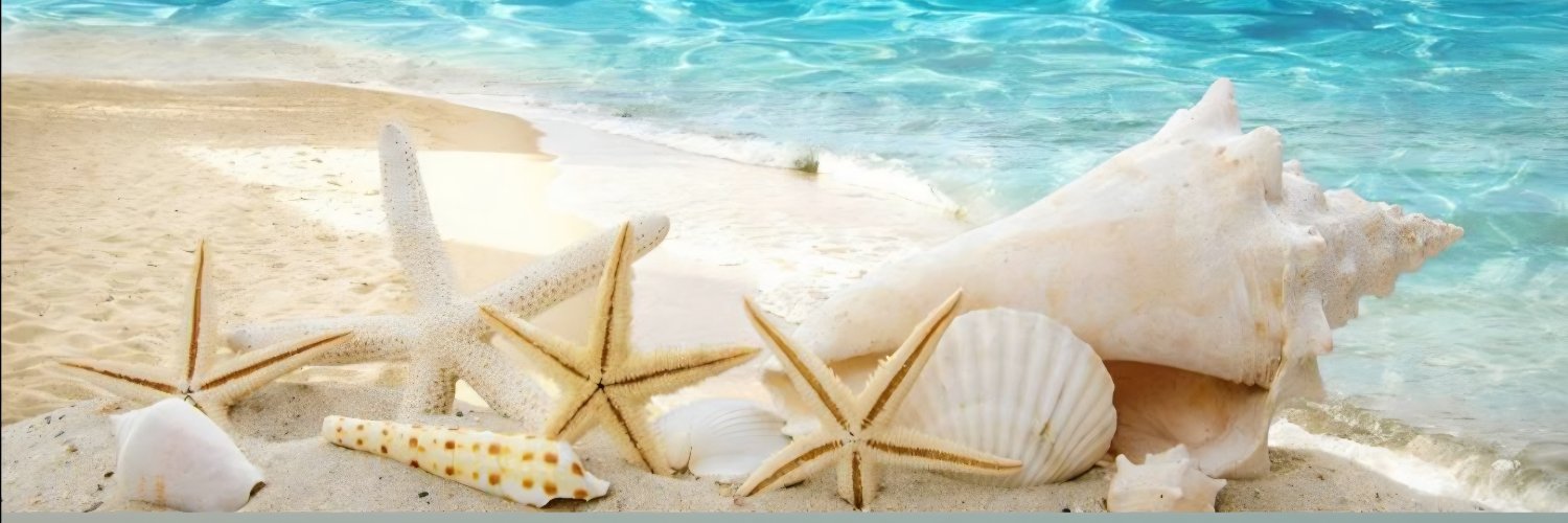erlimare's profile banner image