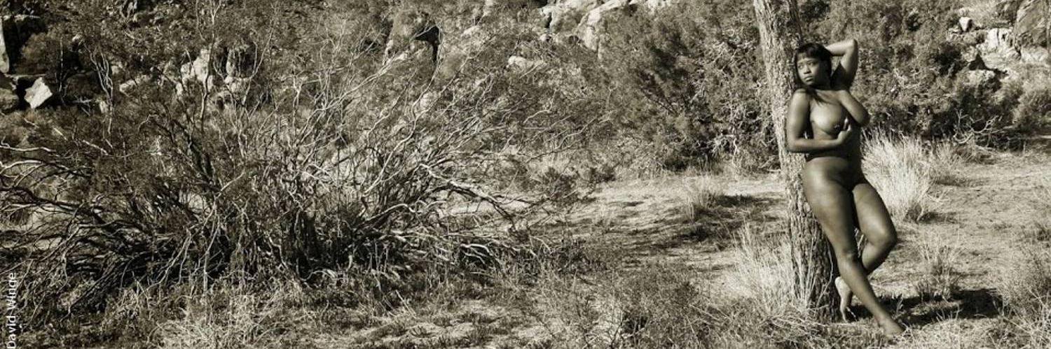 LudicrousDesert's profile banner image