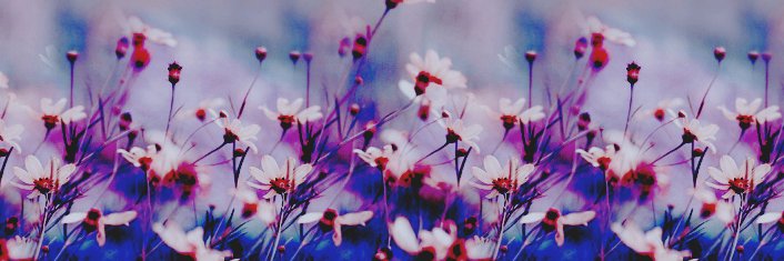 liasel_'s profile banner image