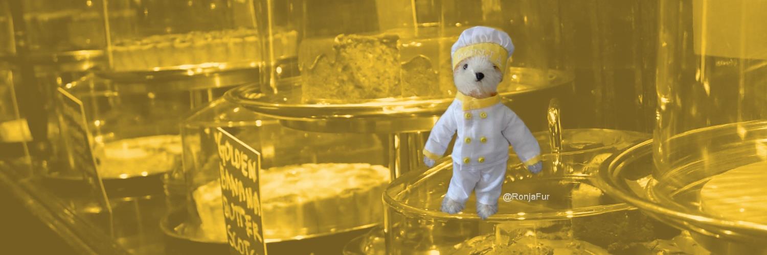 Ronja Furrington banner