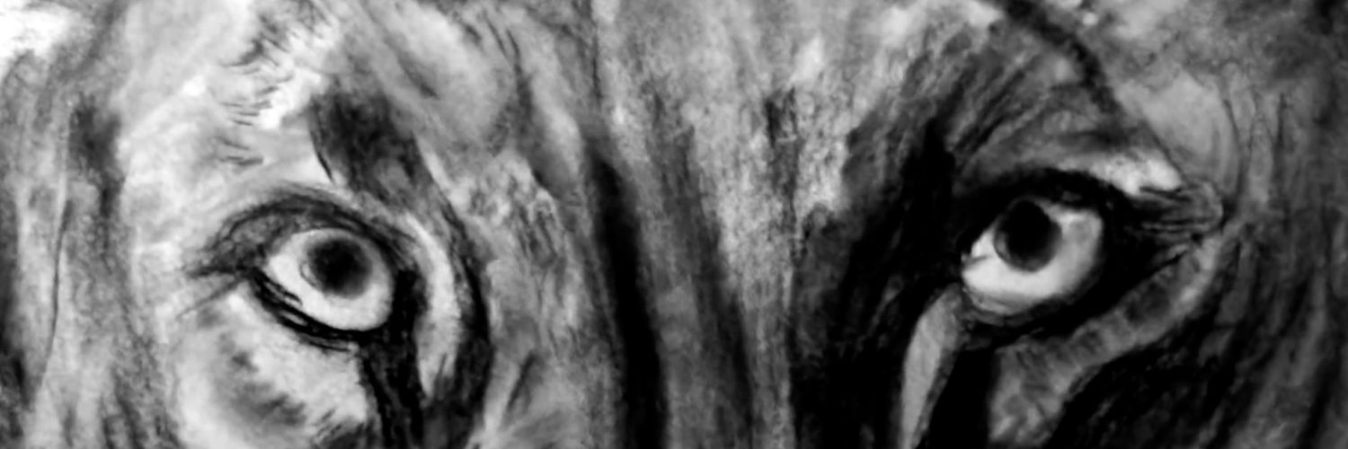 zcarp's profile banner image