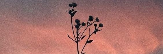 iirembal_'s profile banner image