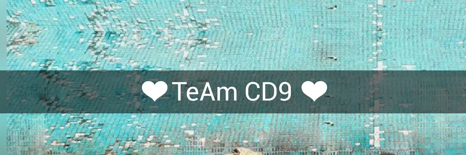 CD9teamforever's profile banner image