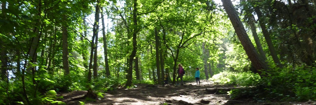 Shropshireness's profile banner image