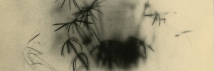 ey6 banner