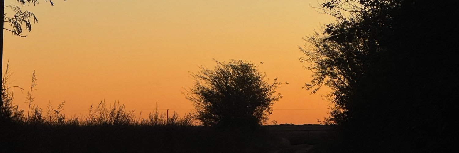 mpiapiola's profile banner image