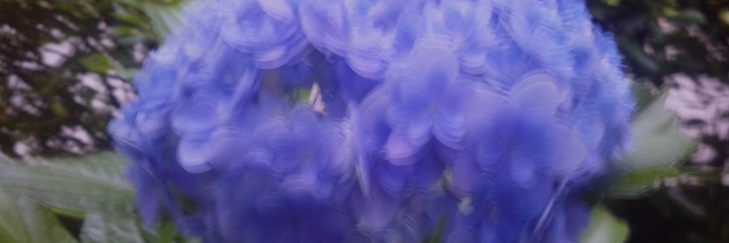 MSX2VDP2's profile banner image