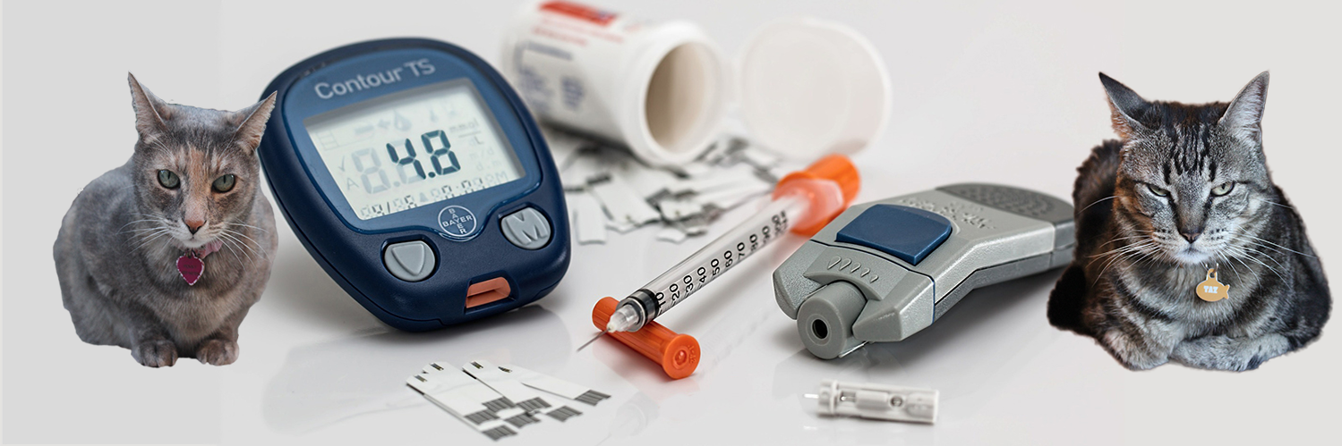DiabeticOutlet's profile banner image