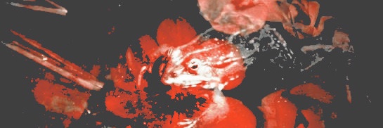 consdivine's profile banner image