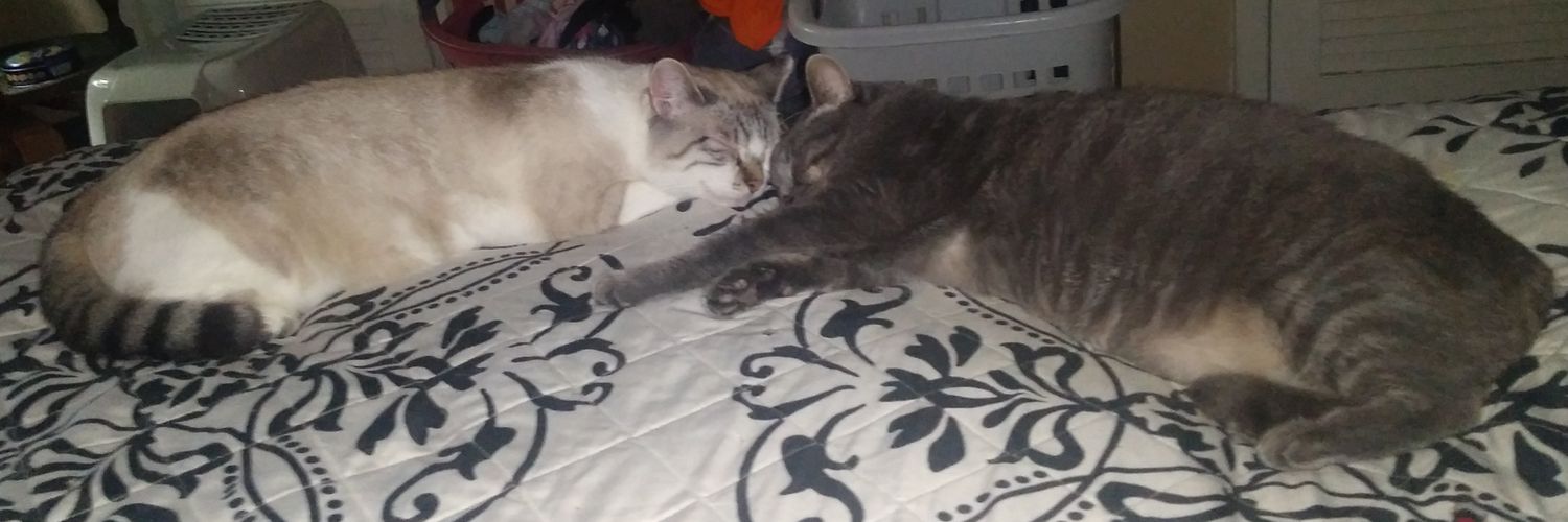 Mrs_BloodSinger's profile banner image