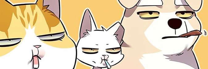 catorceee's profile banner image