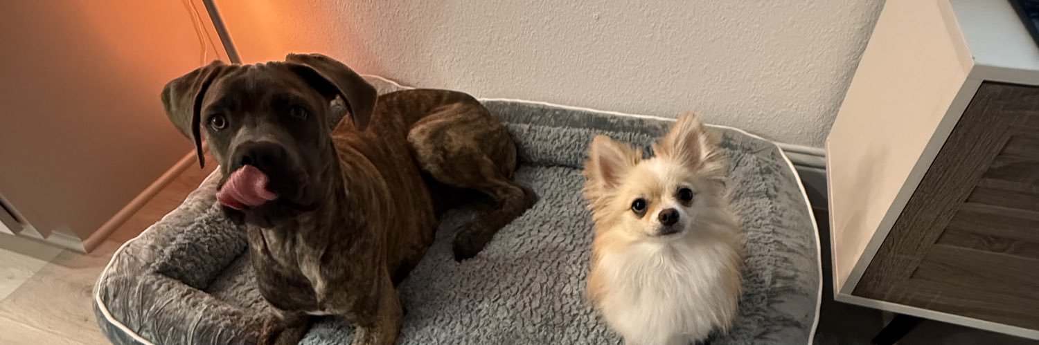 itsTDot's profile banner image