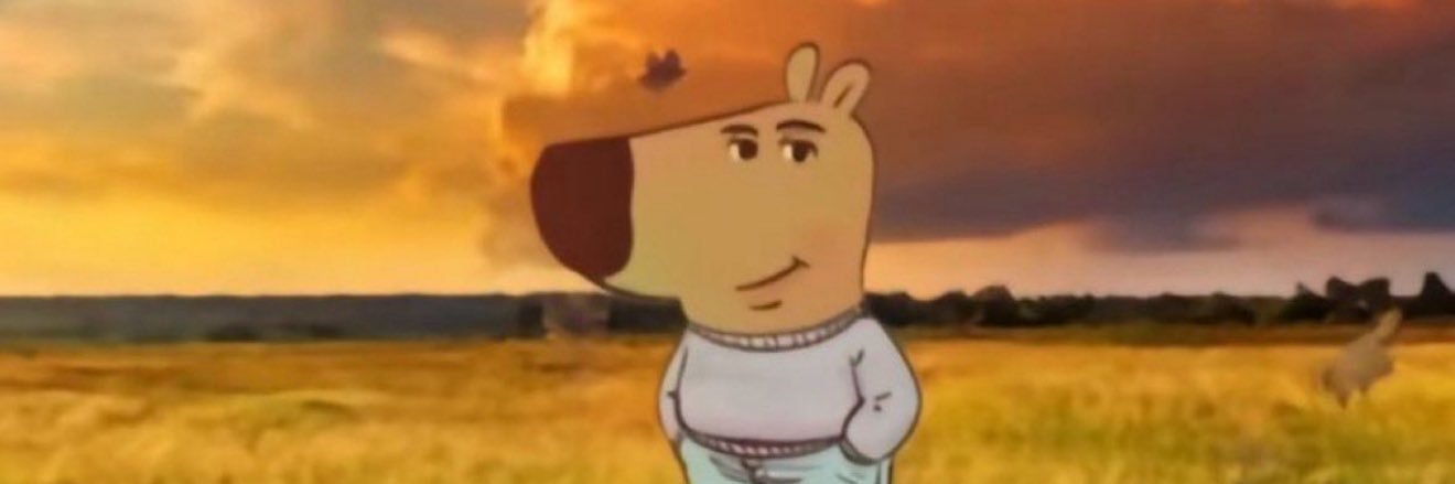 dchiapusio's profile banner image