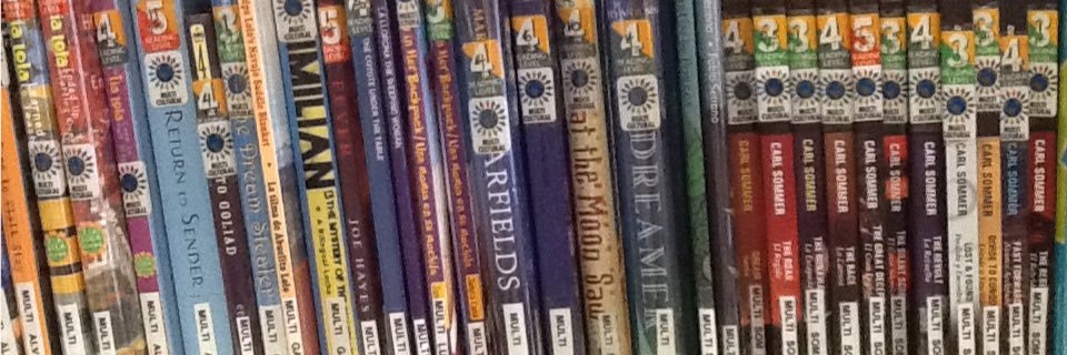 Miss Nelson; MLIS, M.Ed banner