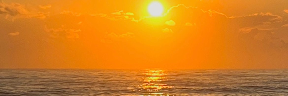 Ana Natale-Pereira, MD, MPH, FACP banner