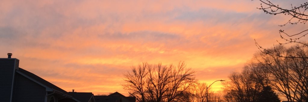 baileywhitson's profile banner image