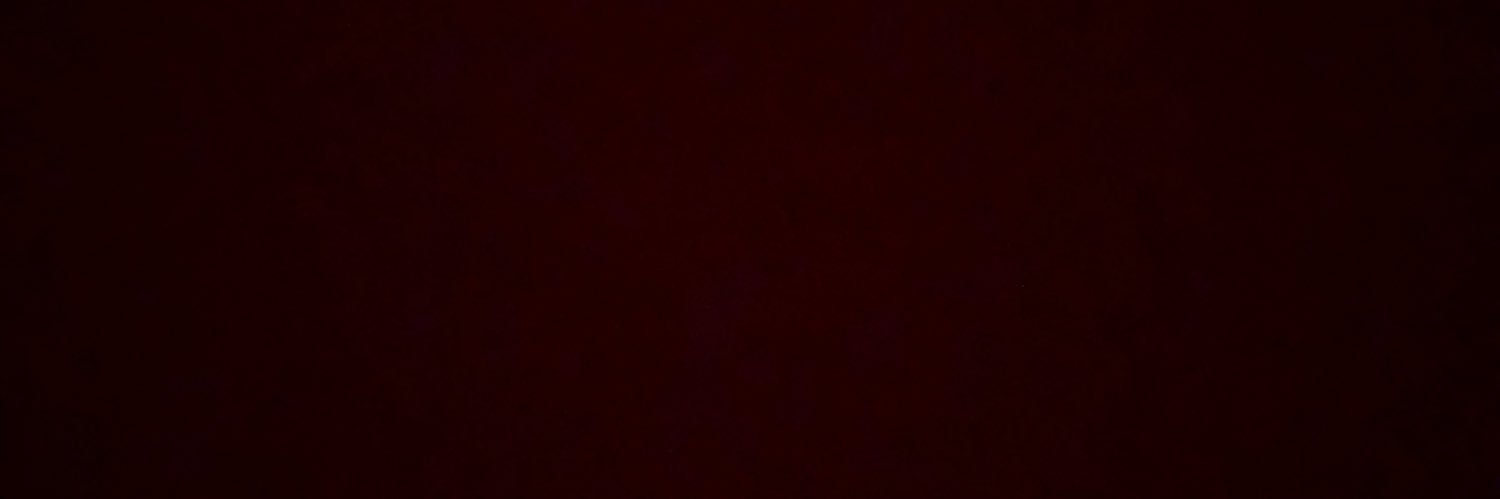 ginobottaro's profile banner image