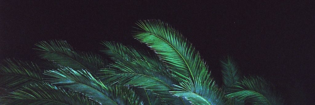 hattdakota's profile banner image