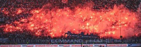 Wallabies 🦘 banner