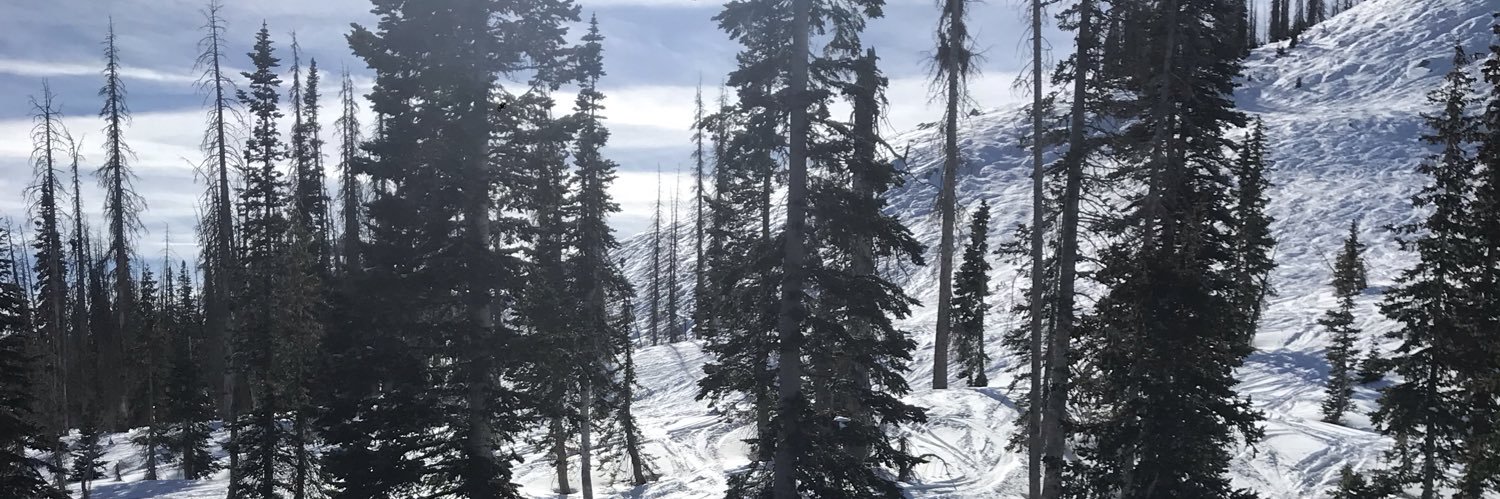 VOFlex's profile banner image