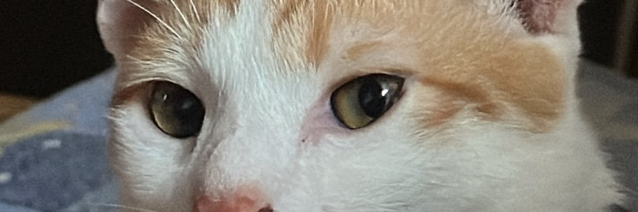 treyaaaa__'s profile banner image