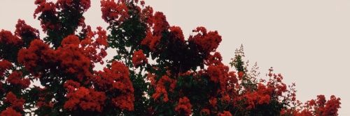 deathbyjesus's profile banner image