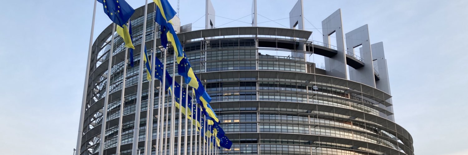 Constantin Schäfer 🇪🇺 banner