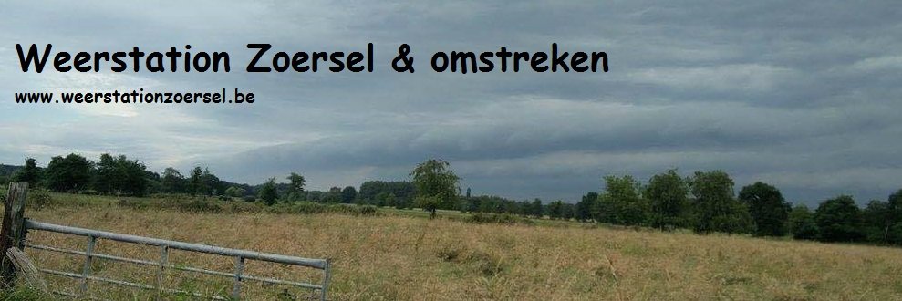 Niels Spaenjers banner