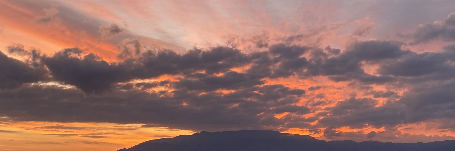 ellen_coplen's profile banner image
