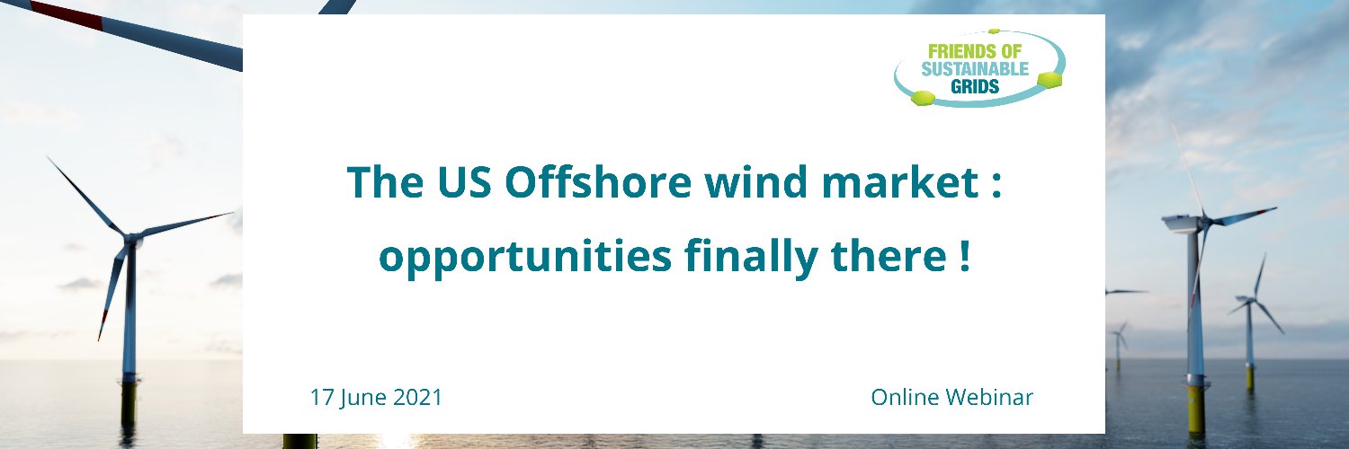 Friends of Sustainable Grids banner