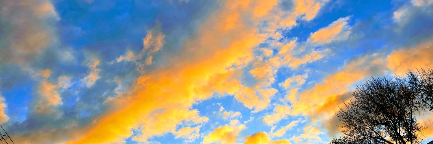 calini20's profile banner image