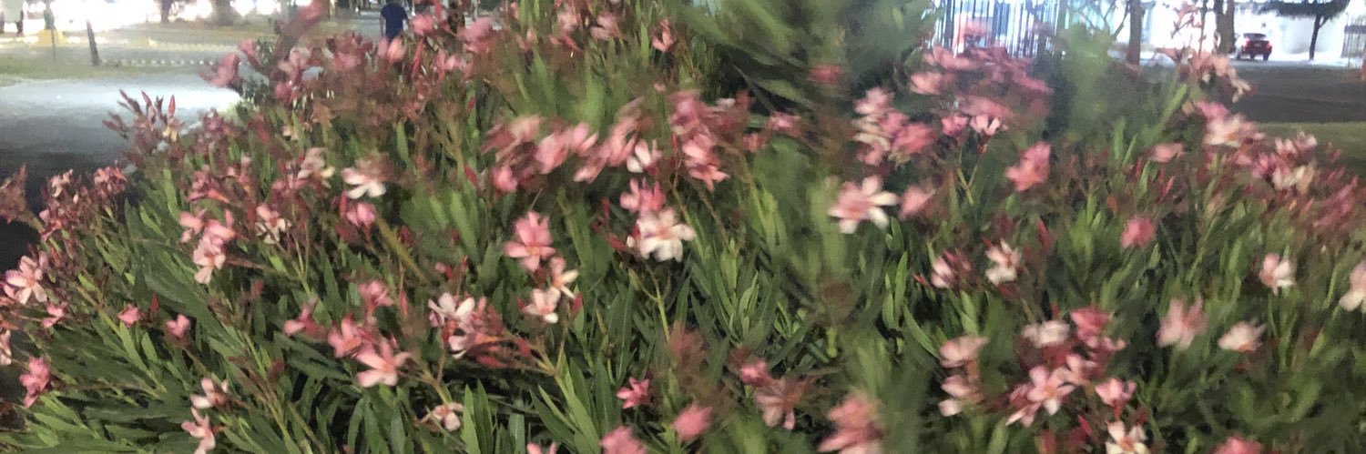 dyeanaah's profile banner image