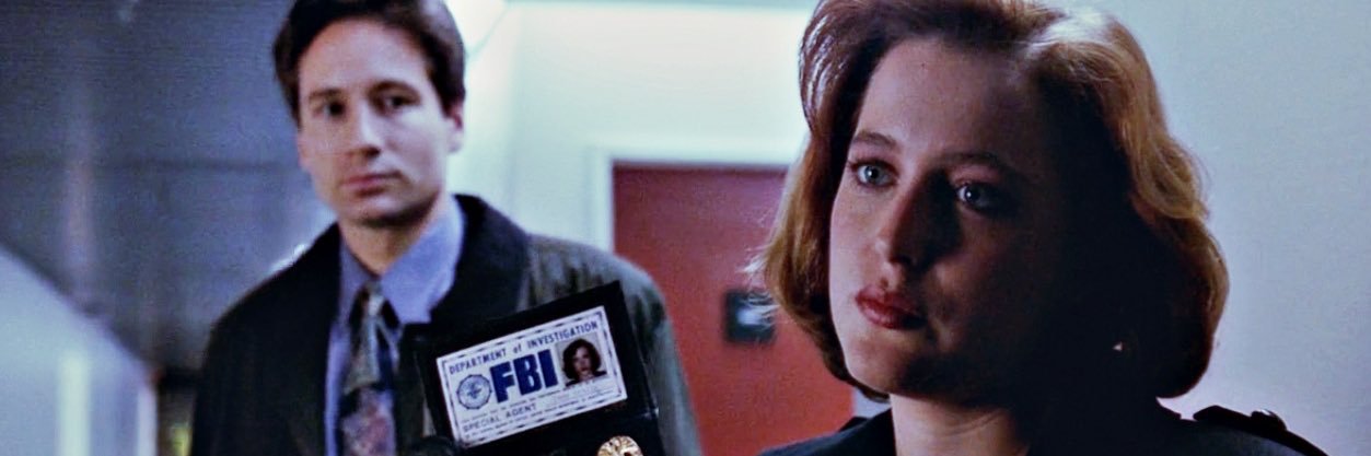 jillian cheney banner