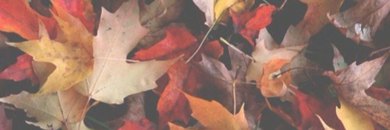 embond11's profile banner image