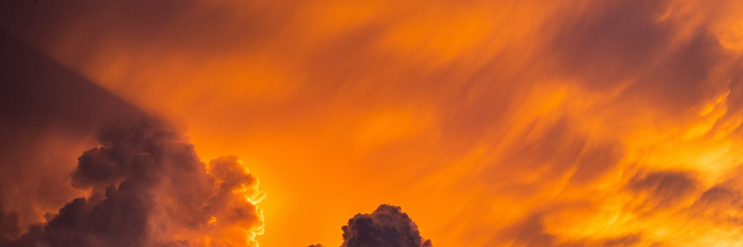 LDessertenne's profile banner image