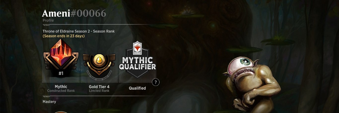 AmeniMTG's profile banner image