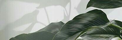 123beam's profile banner image